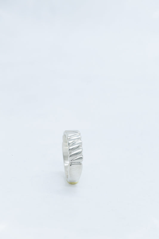 TERRA RING